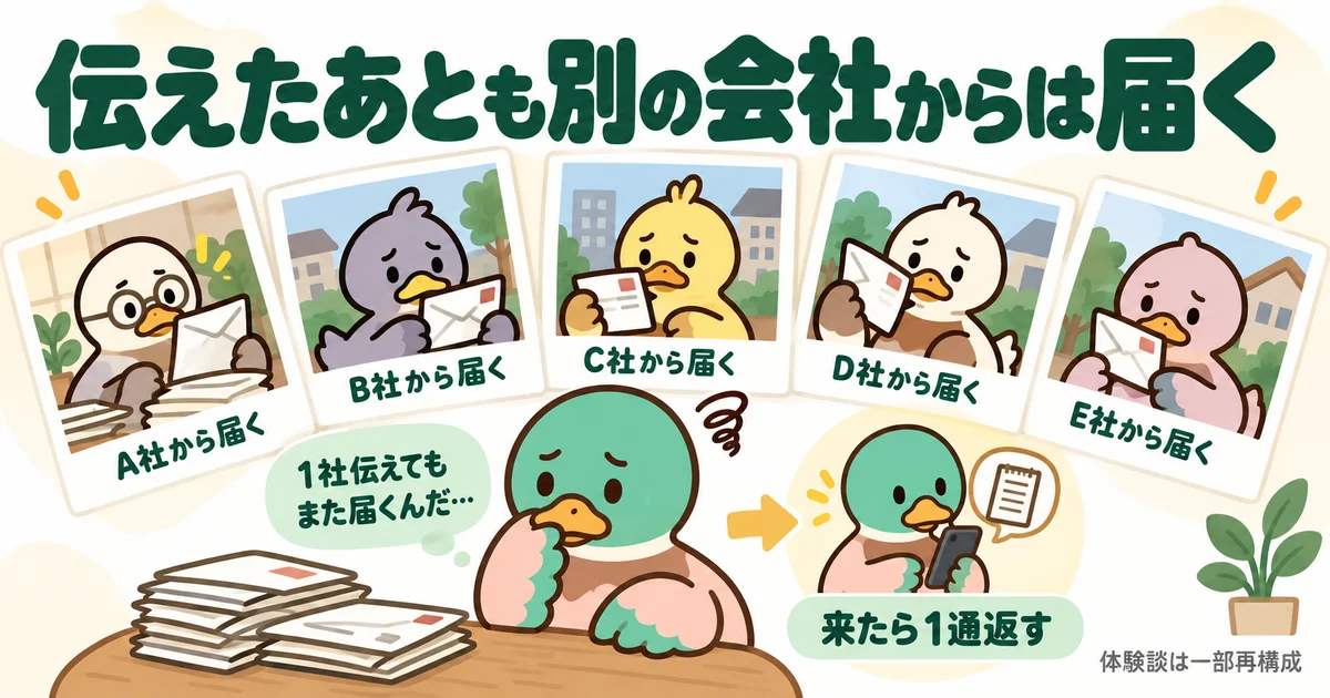 別々の不動産会社から届くDMを、会社ごとに確認するあいみつ。