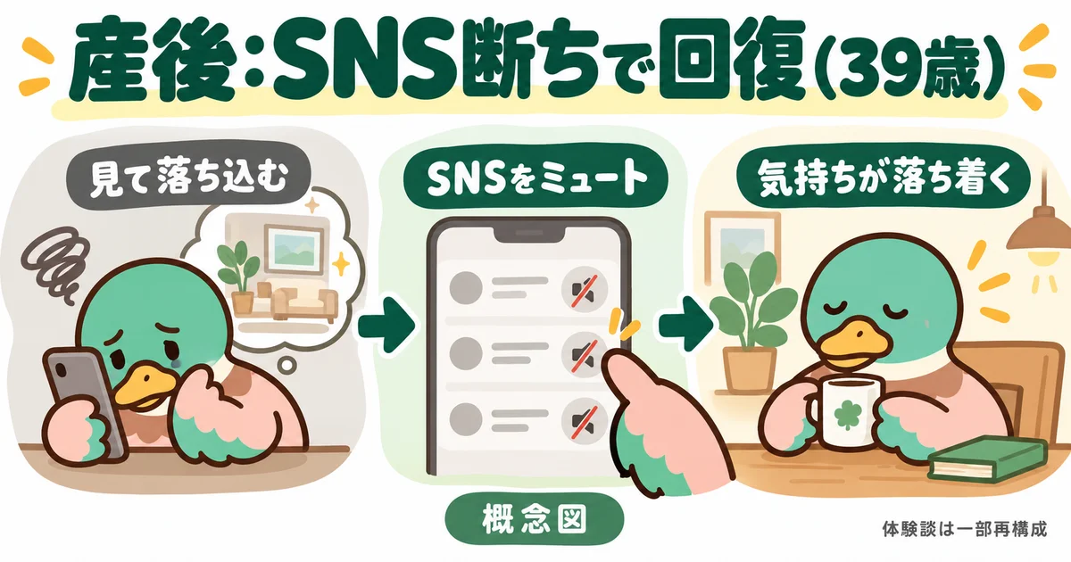 産後の時期にSNSとの距離を見直した三十九歳のカモ。