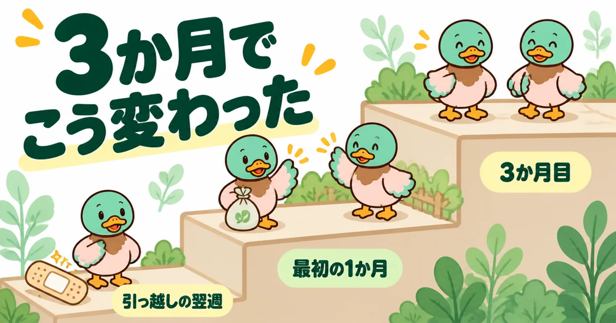 新築のご近所付き合いが、引っ越しの翌週・最初の1か月・3か月目と段階的に楽になった流れを階段で示した図解。